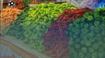 أسعار البطاطا والخضراوات والفاكهة في كفر الشيخ تصل إلى 5 جنيهات